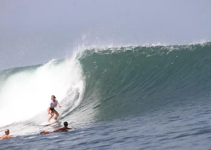 Medewi Secret Surfcamp Pulukan