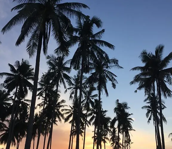 Medewi Secret Surfcamp Pulukan