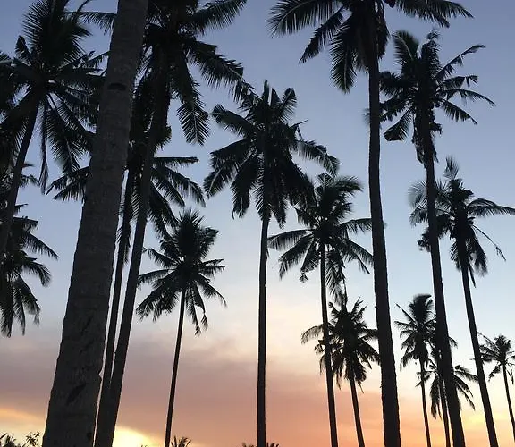 Medewi Secret Surfcamp 4*